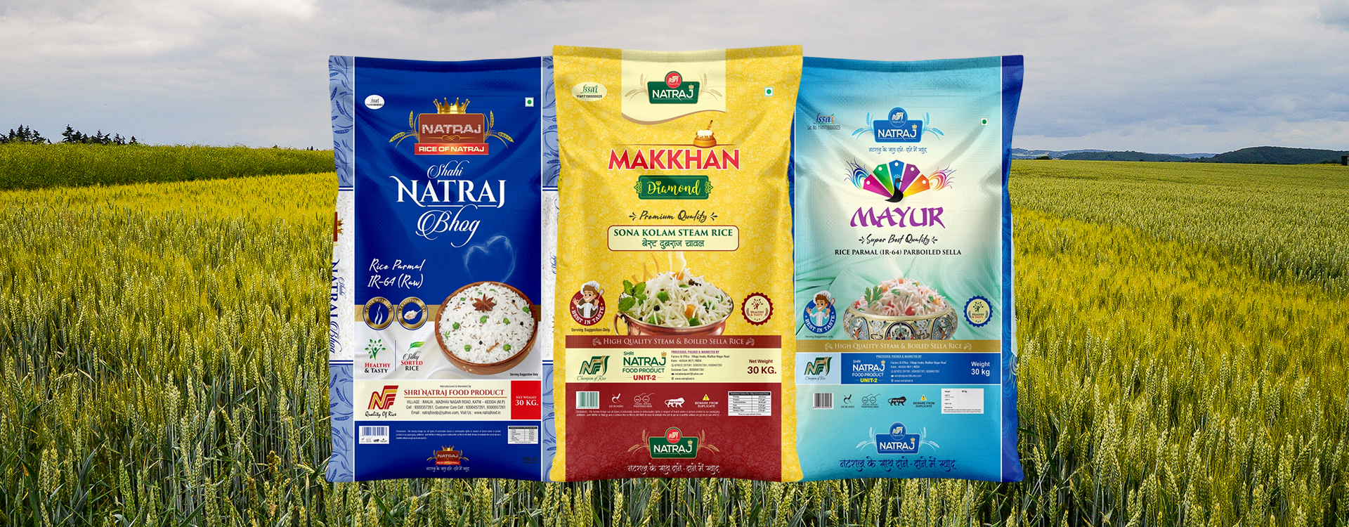 Basmati Rice